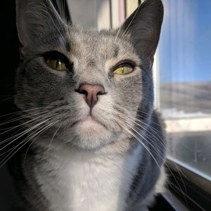 Meet your Posher, Jaelynn